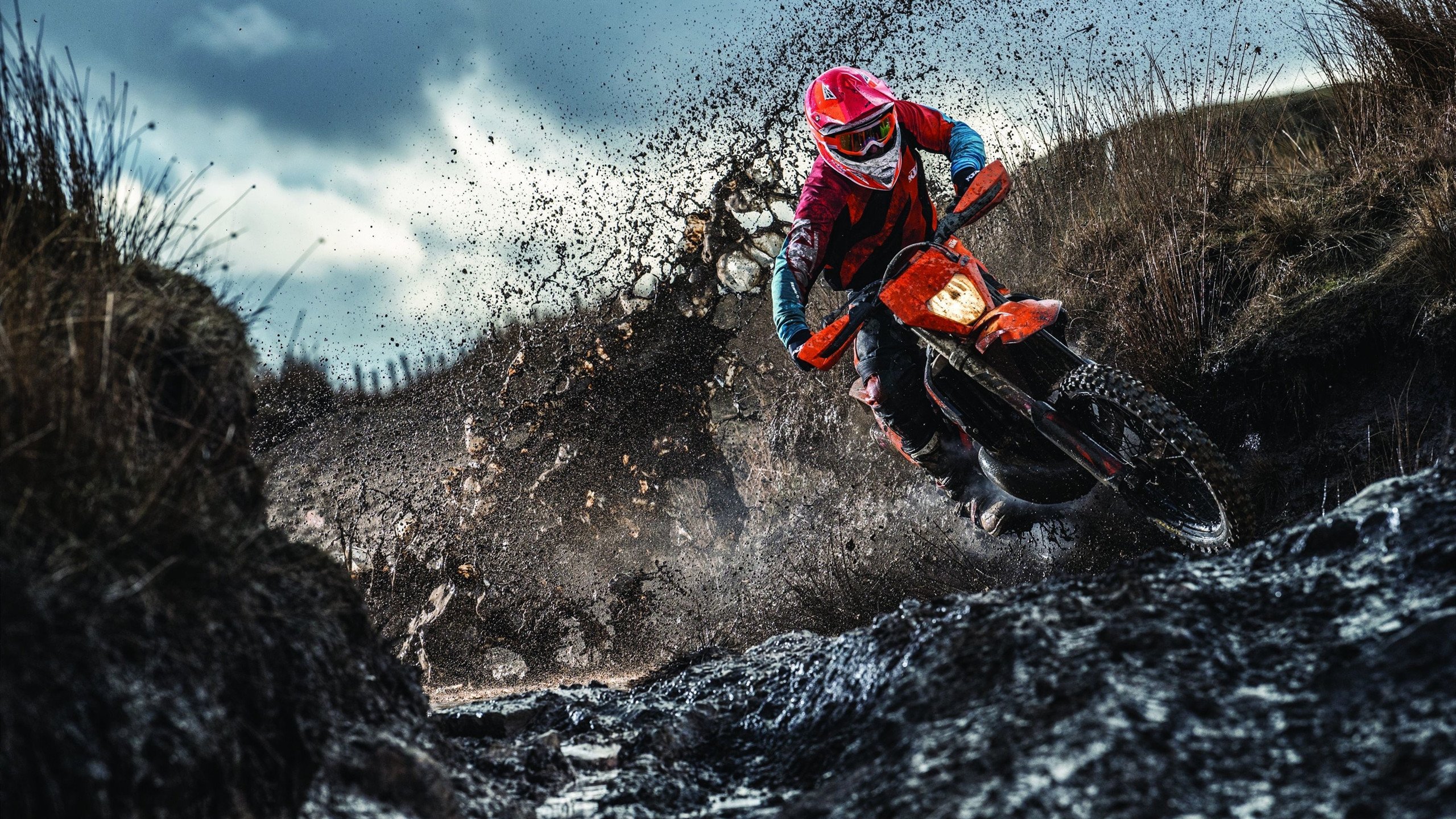 波兰击败奥地利，晋级前途一片光明，波兰对奥地利比分